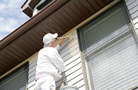 Auckland House Painter